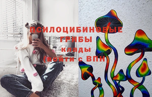 ECSTASY Дмитров